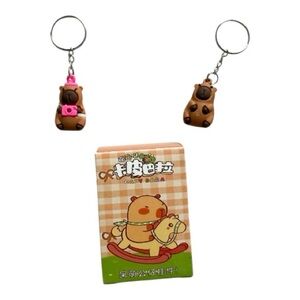 Capybara Not So Mystery Box 2 Capybaras and Box